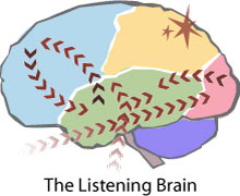 听的大脑图