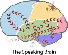 会说话的大脑地图