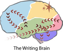 “写作大脑地图”